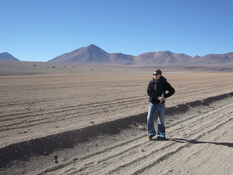 Altiplano Desert